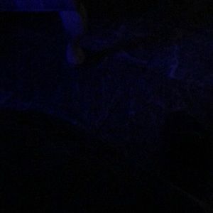 Meet your Posher, Juan